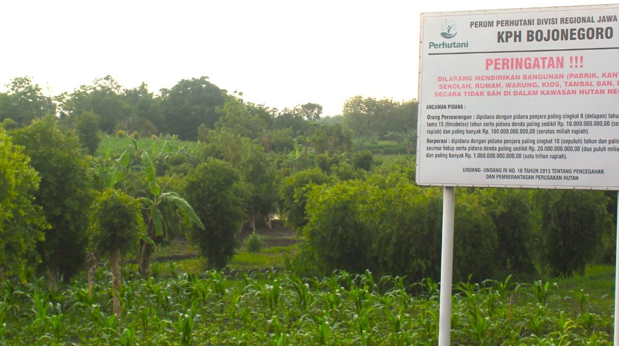 Investor Pabrik Bioetanol Bojonegoro - Bojonegoro Raya