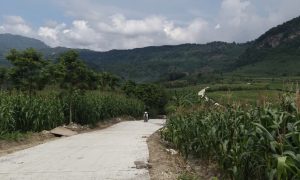 BKKD Bojonegoro